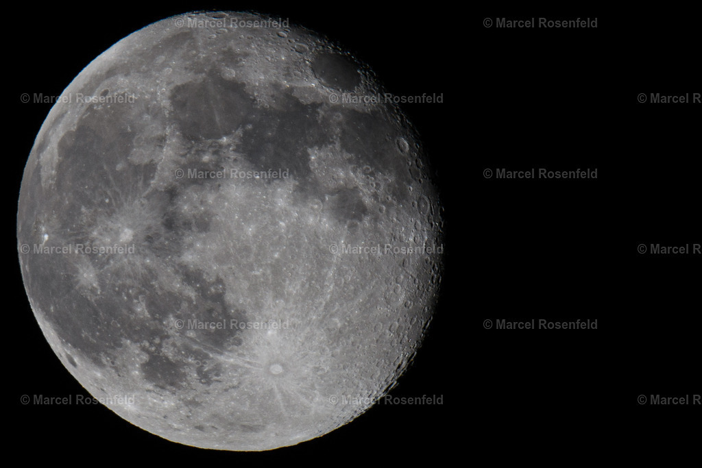 _DSC2723 | foto-rosenfeld