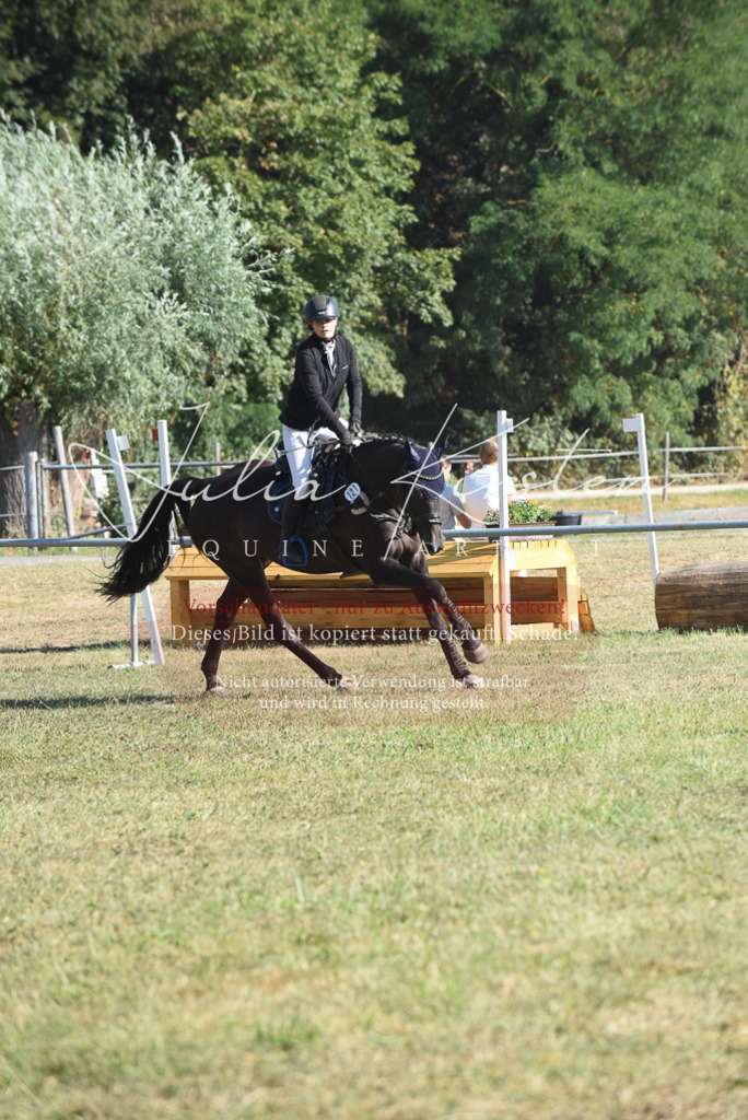 DSC_5396 | Pferde- und Turnierfotografie in Westsachsen. Pferdeportraits, Auftragszeichnungen und intuitive Kunst.