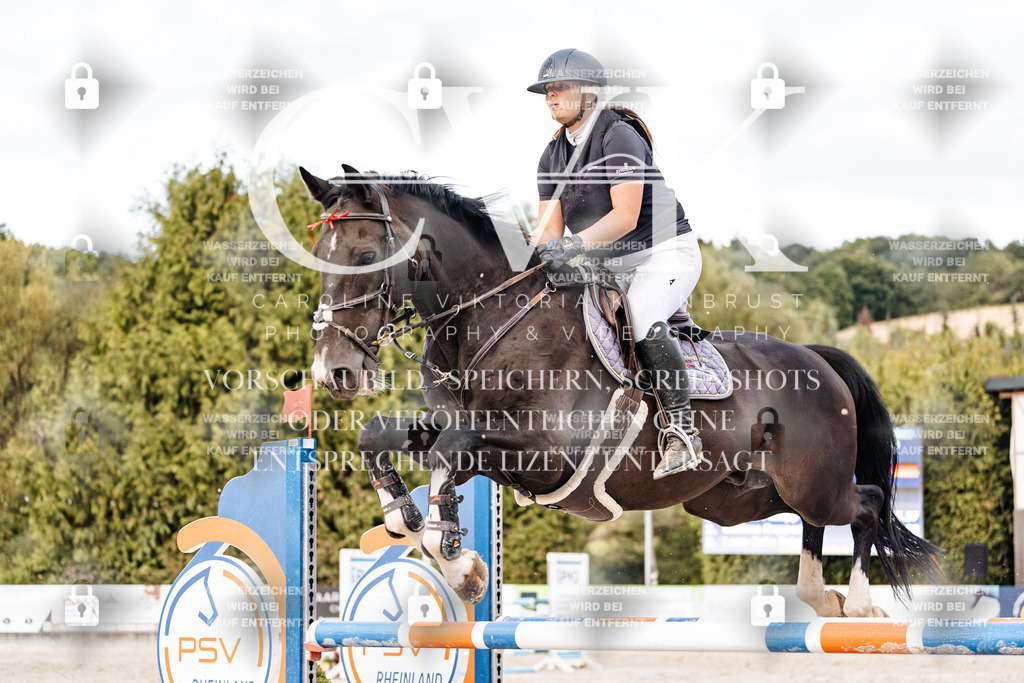 CK903862 | Turnierfotografie Pferdefotografie Trier Rheinland-Pfalz Pferdesport Reitsport Tierfotografie Sportfotografie Pferdevideo Pferdevideografie Equestrianvideography equestrianphotography  - Realisiert mit Pictrs.com