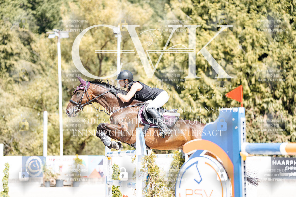CK904782 | Turnierfotografie Pferdefotografie Trier Rheinland-Pfalz Pferdesport Reitsport Tierfotografie Sportfotografie Pferdevideo Pferdevideografie Equestrianvideography equestrianphotography  - Realisiert mit Pictrs.com
