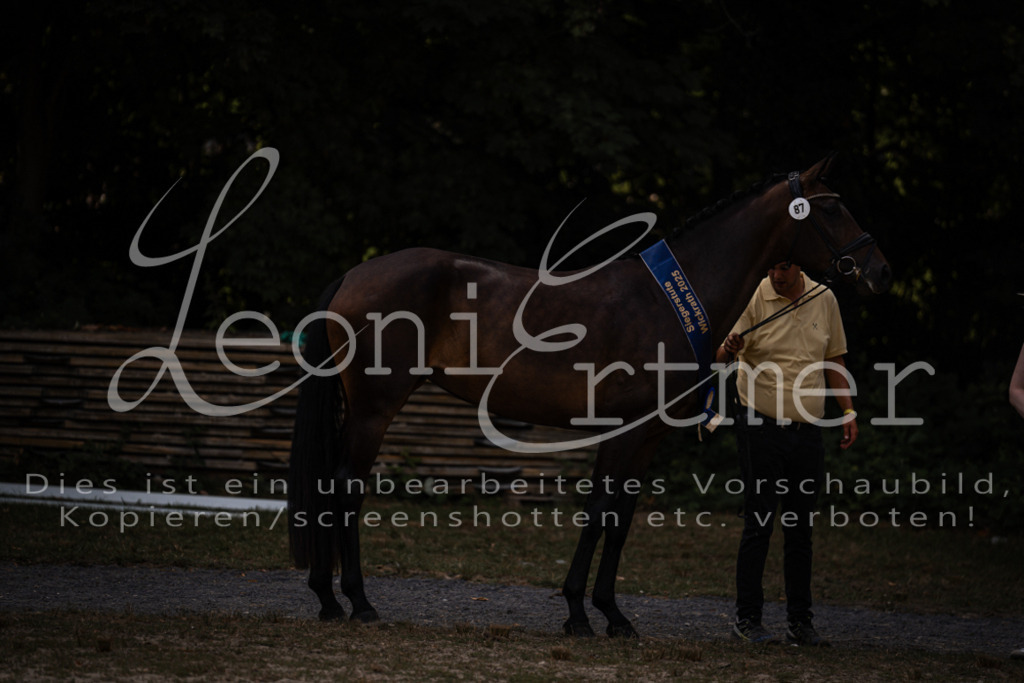 FrER00258 | Leoni Ertmer Photography - Realisiert mit Pictrs.com