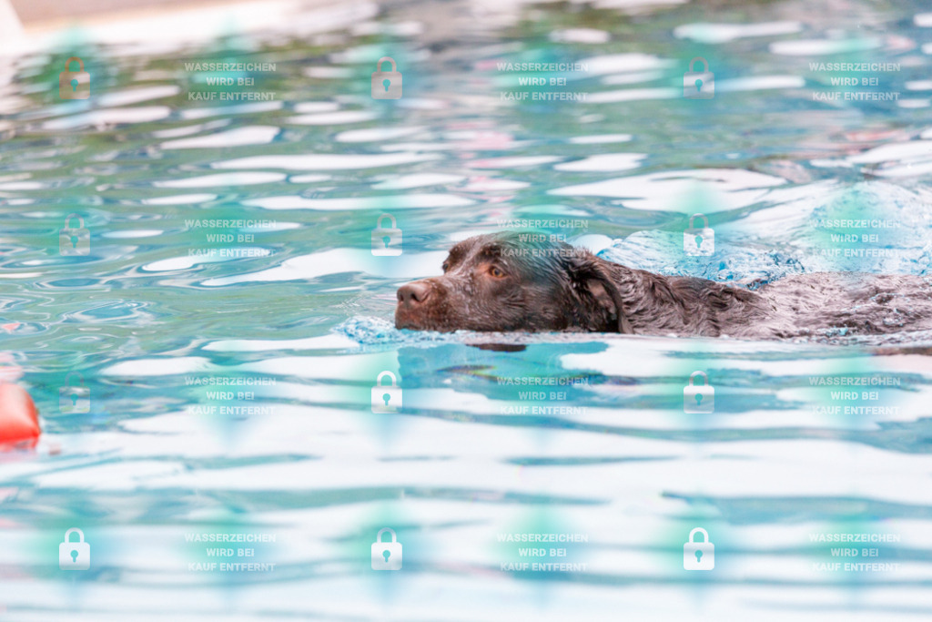 _HP_7273_1000o | HetPix, HetPix Fotodesign, Fotografie, Fotodesign, Webshop, Sportfotografie, Portraitfotografie, Onlineshop, Sportfotografie, Polch, Motorsportfotografie, Eventfotografie