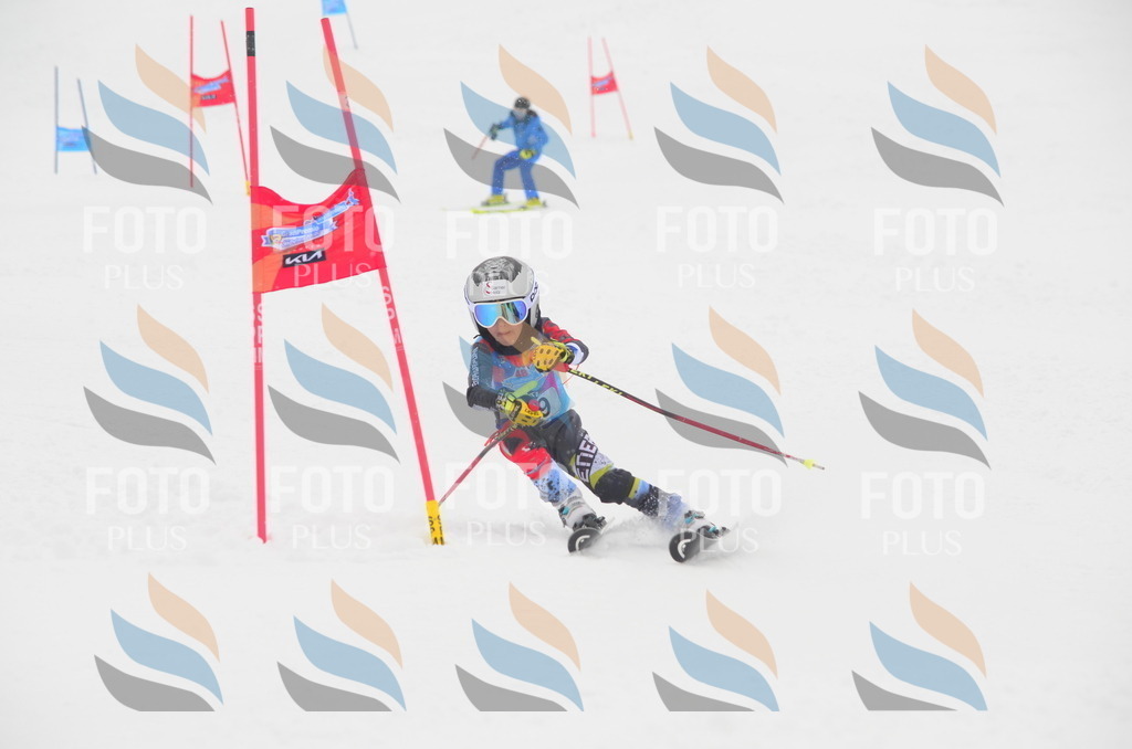 C1029 | holidayphoto