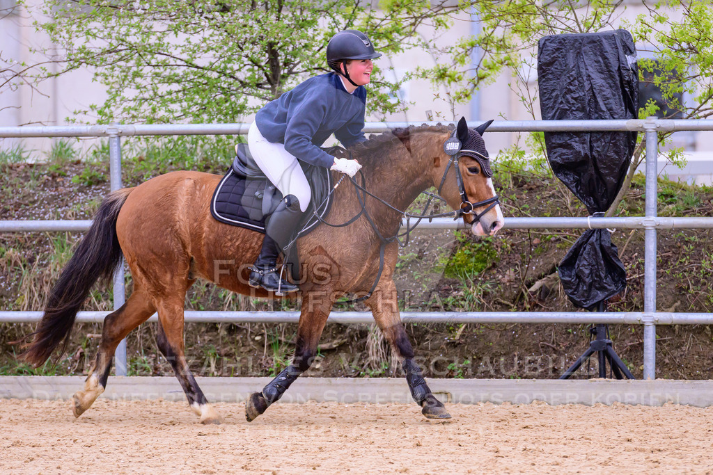 12042026-Mammendorf-Prfg40-1594 | Fokus Hufschlag Fotografie - Realisiert mit Pictrs.com
