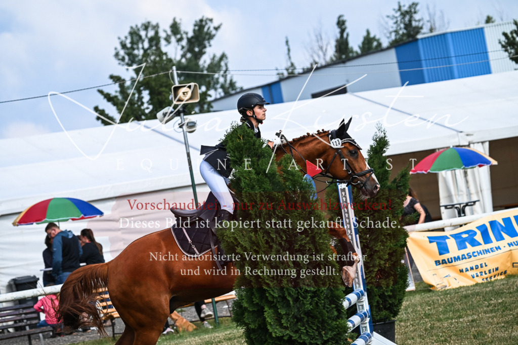 DSC_7948 | Pferde- und Turnierfotografie in Westsachsen. Pferdeportraits, Auftragszeichnungen und intuitive Kunst.
