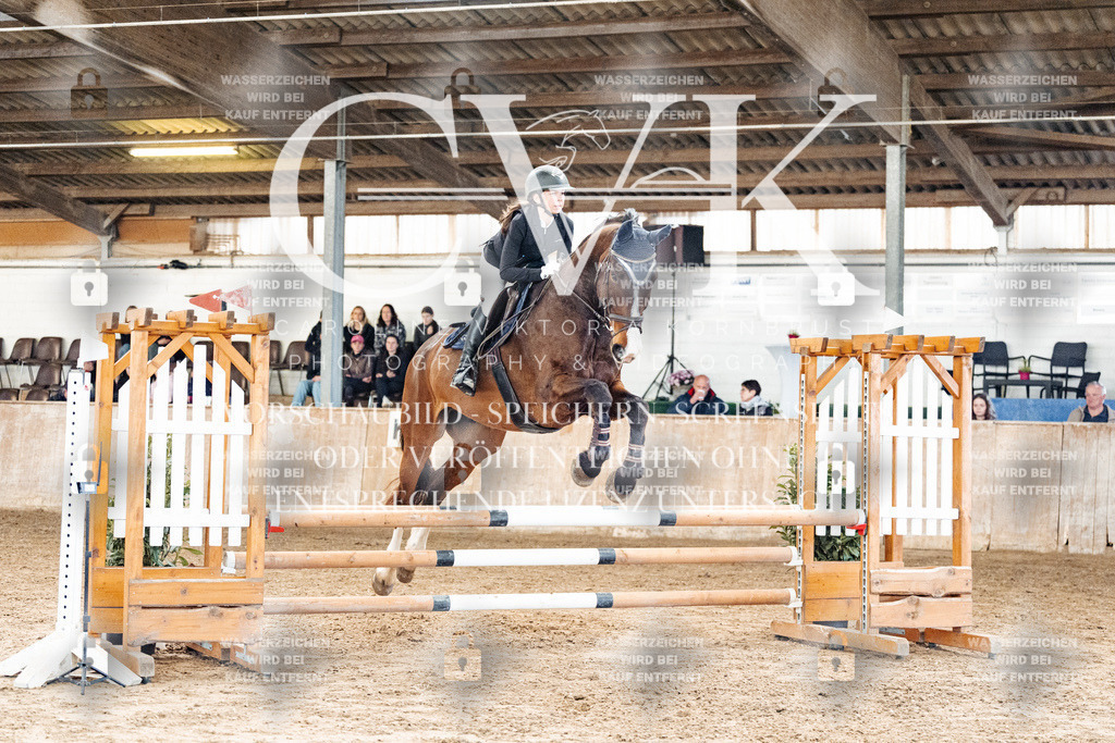 CK904430 | Turnierfotografie Pferdefotografie Trier Rheinland-Pfalz Pferdesport Reitsport Tierfotografie Sportfotografie Pferdevideo Pferdevideografie Equestrianvideography equestrianphotography  - Realisiert mit Pictrs.com