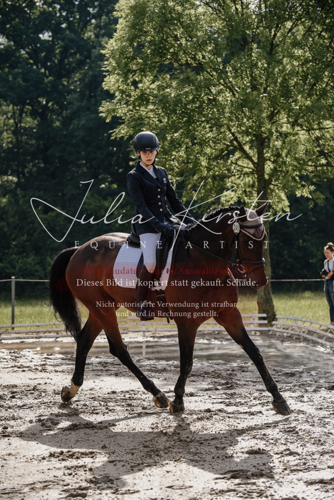 DSC_8596 | Pferde- und Turnierfotografie in Westsachsen. Pferdeportraits, Auftragszeichnungen und intuitive Kunst.