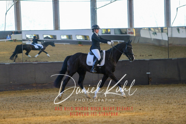 IMG_3269 | Turniersportfotografie; Pferdefotografie; Dressurfotografie