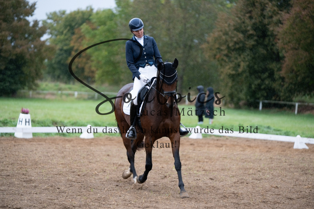 A7V05697 | Pferdefotograf