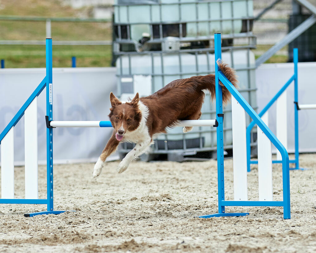 580A0128 | Peter Fridle Fotografie - Realisiert mit Pictrs.com