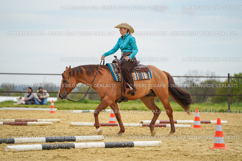 DSC03118 | Pferdegrafie