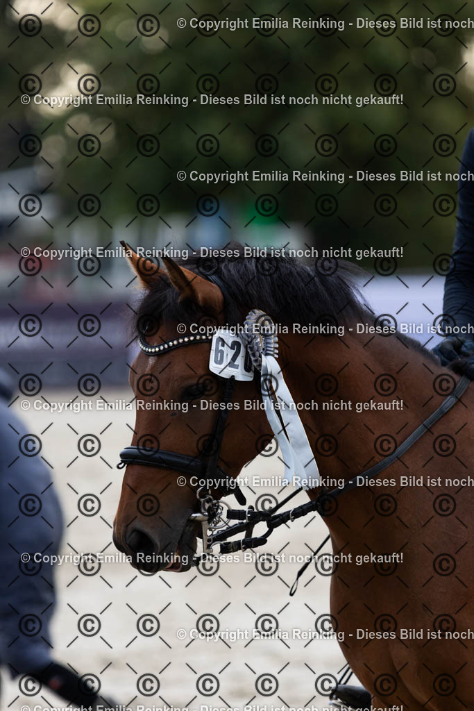 CL5A3146 | Emilia Reinking Fotografie - Realisiert mit Pictrs.com