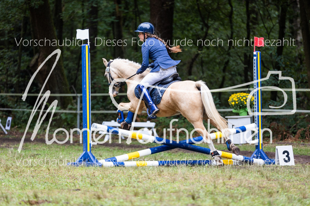 HB-JaD-011 | MomenTaufnahmen Pferdesportfotos