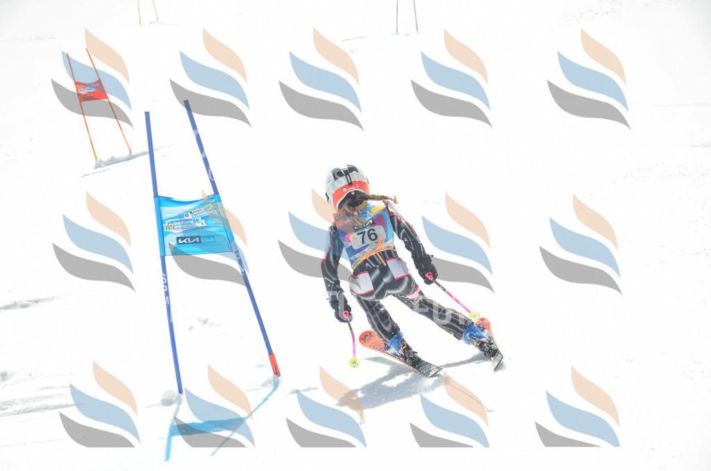 _ELE5509 | holidayphoto