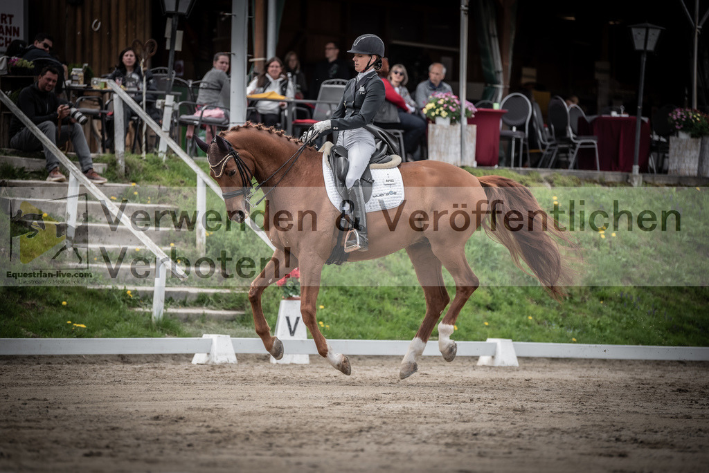 DSC_3106 | equestrian-live-com
