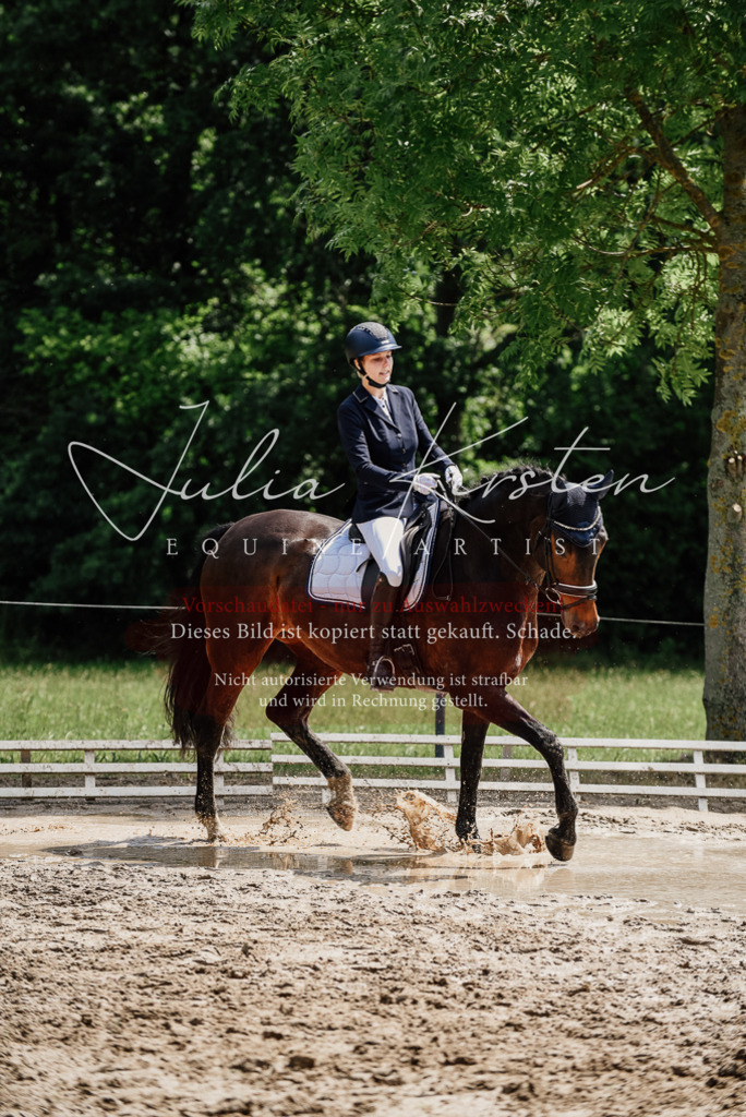 DSC_1434 | Pferde- und Turnierfotografie in Westsachsen. Pferdeportraits, Auftragszeichnungen und intuitive Kunst.