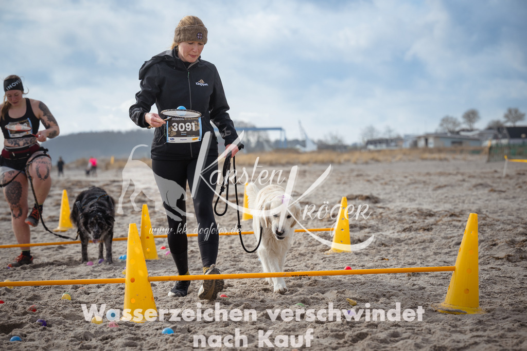1228_ZZ96708 | kk-dogfotos