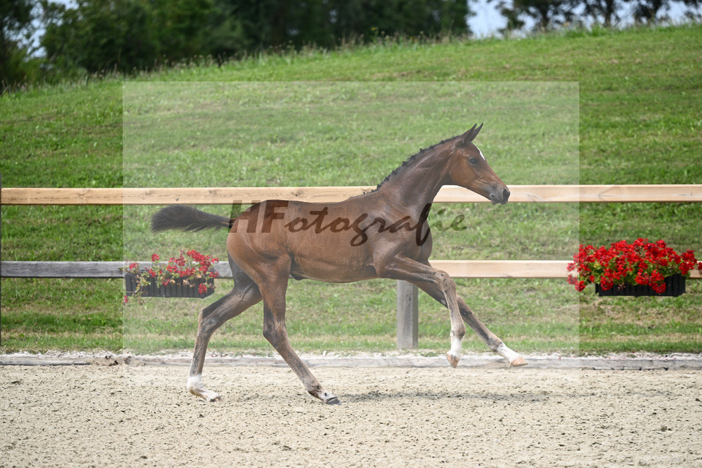 Kat-Nr. 13 SF Spielberg x Diamond Hit_Fischer_28230241 | hf-fotografie - Realizzato con Pictrs.com