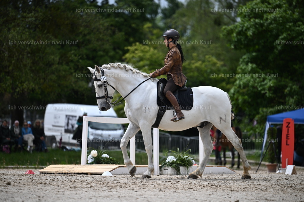 PI26_SP_Sara_Landvogt_226_5123.JPG | working equitationturnier fotograf videograf stoibphotography marixx film working equitation deutschland reitsport turnierfotografie eventfotografie equestrian events