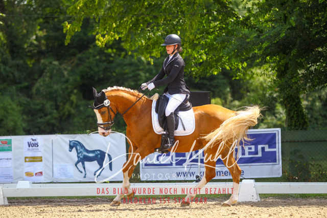 DKP42510 | Turniersportfotografie; Pferdefotografie; Dressurfotografie