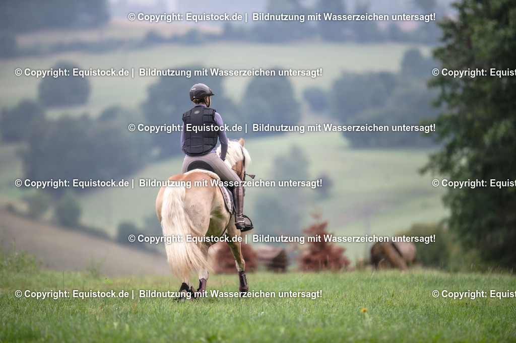 20250726_Vielseitigkeitslehrgang-Marbach_0220 | Foto: Thomas Hartig