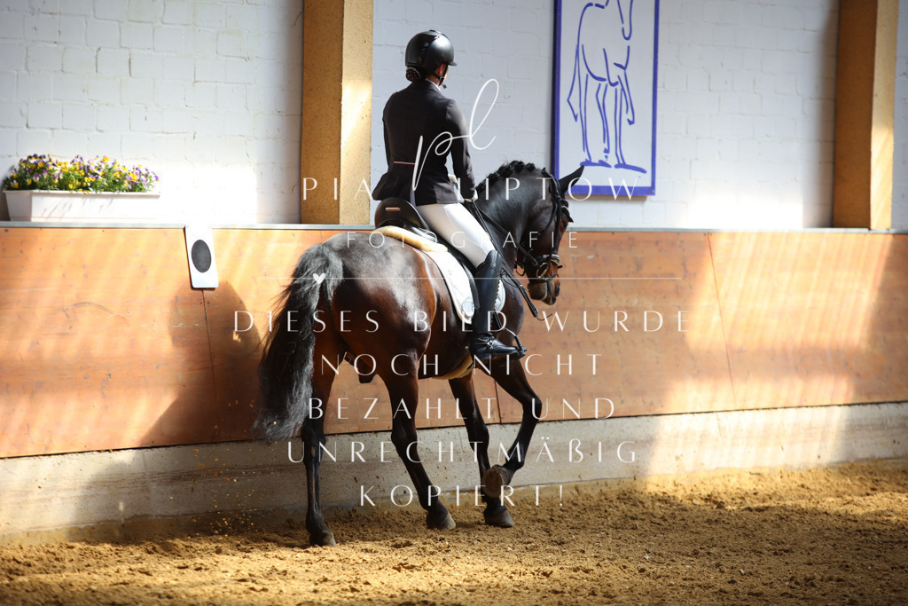 IMGT7518 | pl-fotografie