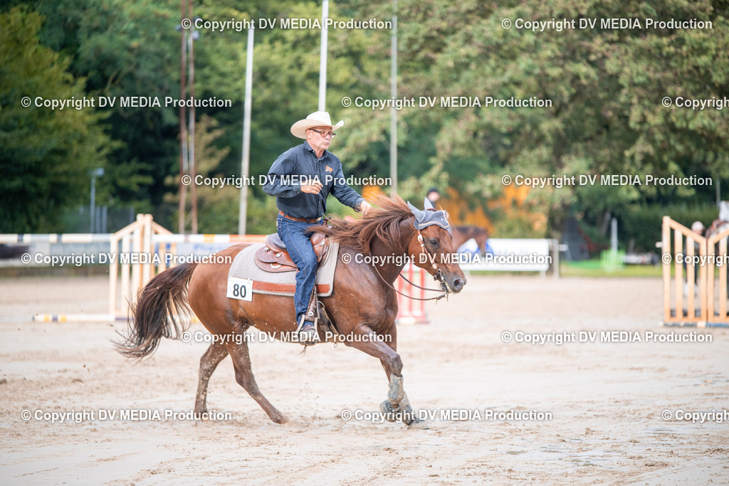 ZS2_4422 | dv-media-shop - Realisiert mit Pictrs.com