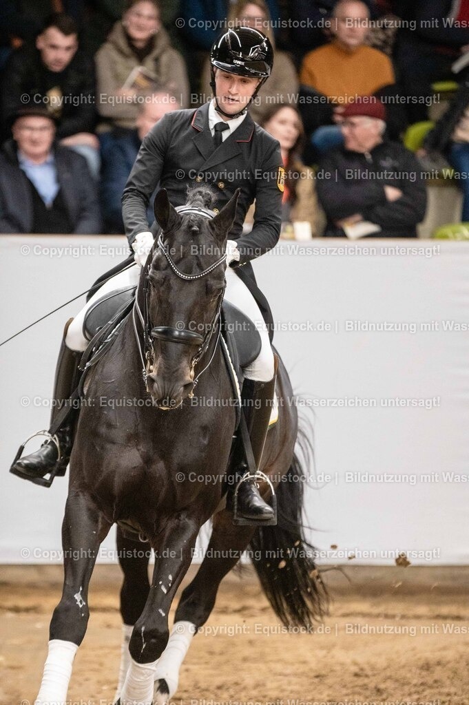 20260307_Hengstvorstellung-Marbach_0484 | equistock