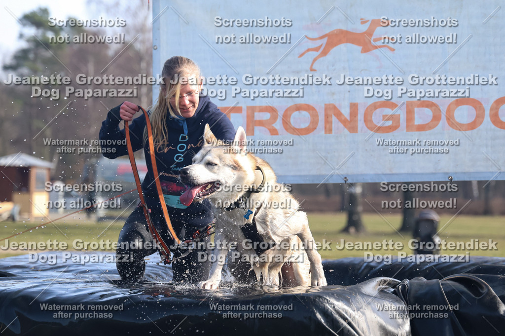 Dog Paparazzi - Strongdog North Mrz26-1087 | Dog Paparazzi Jeanette Grottendiek Fotografie & Videografie - Realisiert mit Pictrs.com