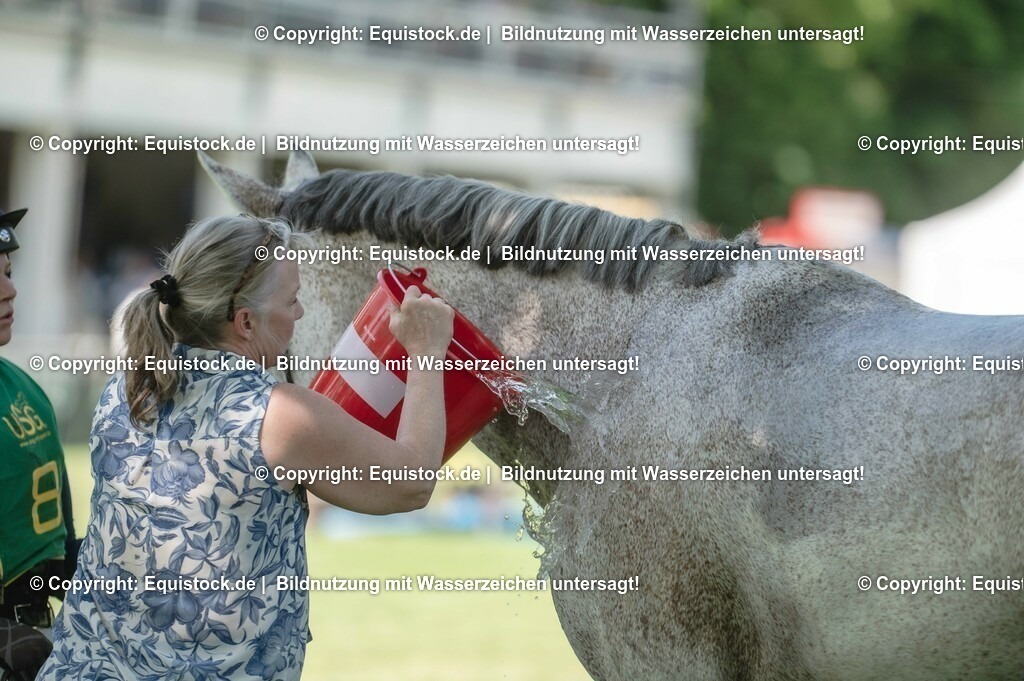 20230527_27_CCI4_Gelände_0058 | equistock