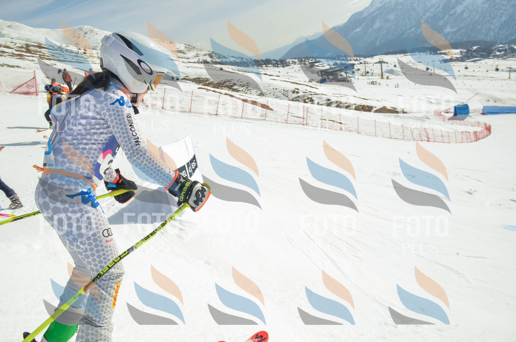 _ELE4805 | holidayphoto