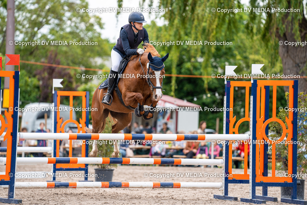 Eppelheim Tag 2-557 | dv-media-shop - Realisiert mit Pictrs.com