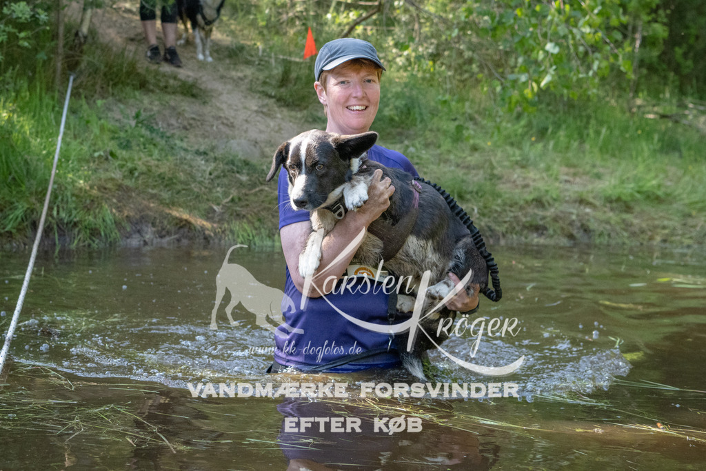 1703DKK991559 | kk-dogfotos
