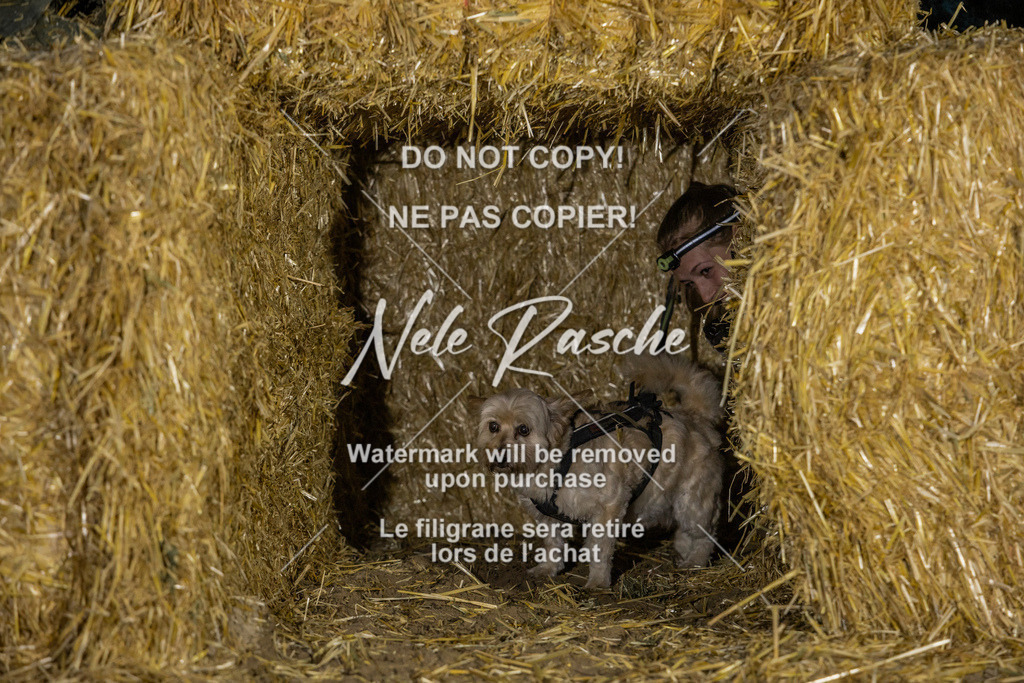 nelerasche_FrNacht_340 | nelerasche