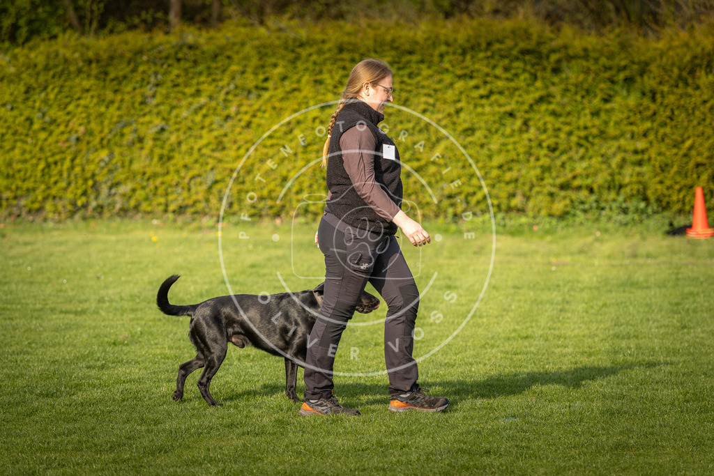 Pfotenfotografie_DV3A4757 | Hundefotografie, Tierfotograf, Pfotenfotografie, Fotoshooting Hund, Hunde Portrait, Hundesport, Hundeportraits, Heideshooting, Hunde, Sportfotograf, Hundefotograf, Turnierhundsport, THS,  - Realisiert mit Pictrs.com