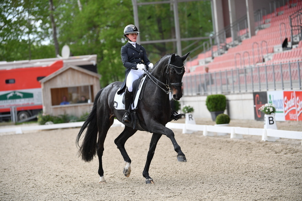 Plinke_17_056 | Der professionelle Turnierfotograf ✓ Reitsport Bilder ▷ Shop ✚ günstig & schnell ✚ mit Zugang für Redakteure