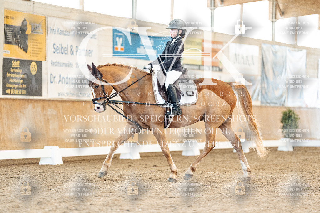 CK908018 | Turnierfotografie Pferdefotografie Trier Rheinland-Pfalz Pferdesport Reitsport Tierfotografie Sportfotografie Pferdevideo Pferdevideografie Equestrianvideography equestrianphotography  - Realized with Pictrs.com