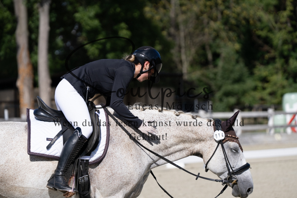 A7V07056 | Turnier/Reitfotograf