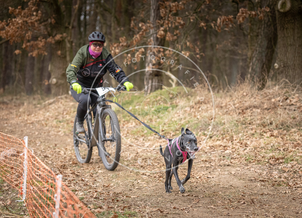 Pfotenfotografie_DV3A1922 | Hundefotografie, Tierfotograf, Pfotenfotografie, Fotoshooting Hund, Hunde Portrait, Hundesport, Hundeportraits, Heideshooting, Hunde, Sportfotograf, Hundefotograf, Turnierhundsport, THS,  - Realisiert mit Pictrs.com