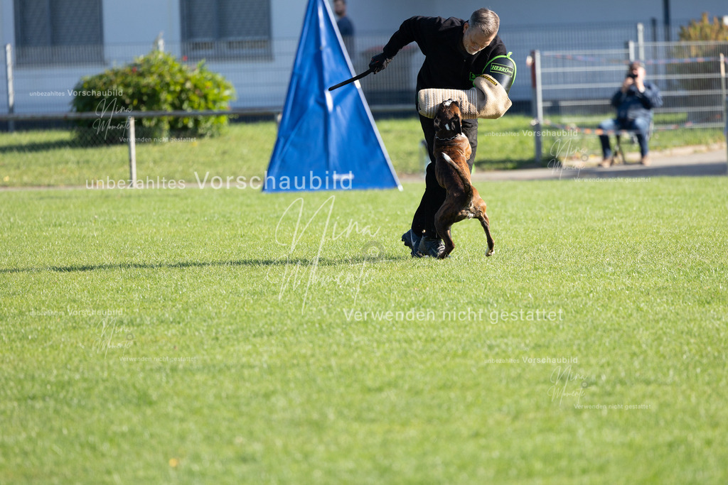 _16A5143 | Einzigartige Fotos von Hunden & Menschen –Actionfotos, Portraits, Vereinsaufnahmen & Paarshootings – authentisch, lebendig & mit Herz.