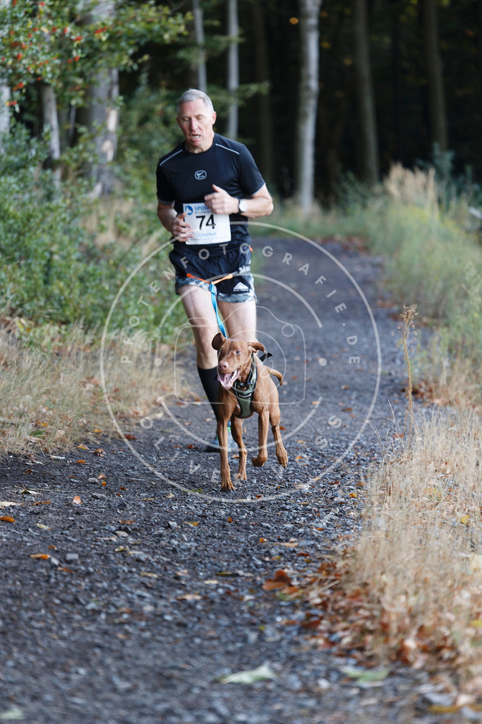 0L8A2004 | Hundefotografie, Tierfotograf, Pfotenfotografie, Fotoshooting Hund, Hunde Portrait, Hundesport, Hundeportraits, Heideshooting, Hunde, Sportfotograf, Hundefotograf, Turnierhundsport, THS,  - Realisiert mit Pictrs.com