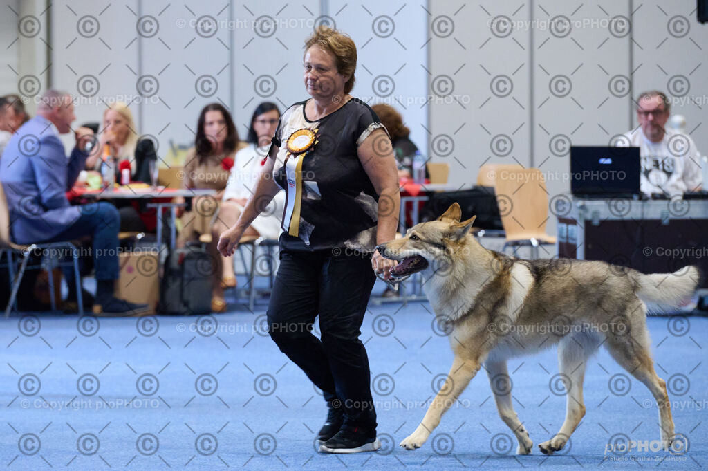 202406_ÖKV-IHA-Tulln24_DSC_4870 | proPHOTO - Realisiert mit Pictrs.com