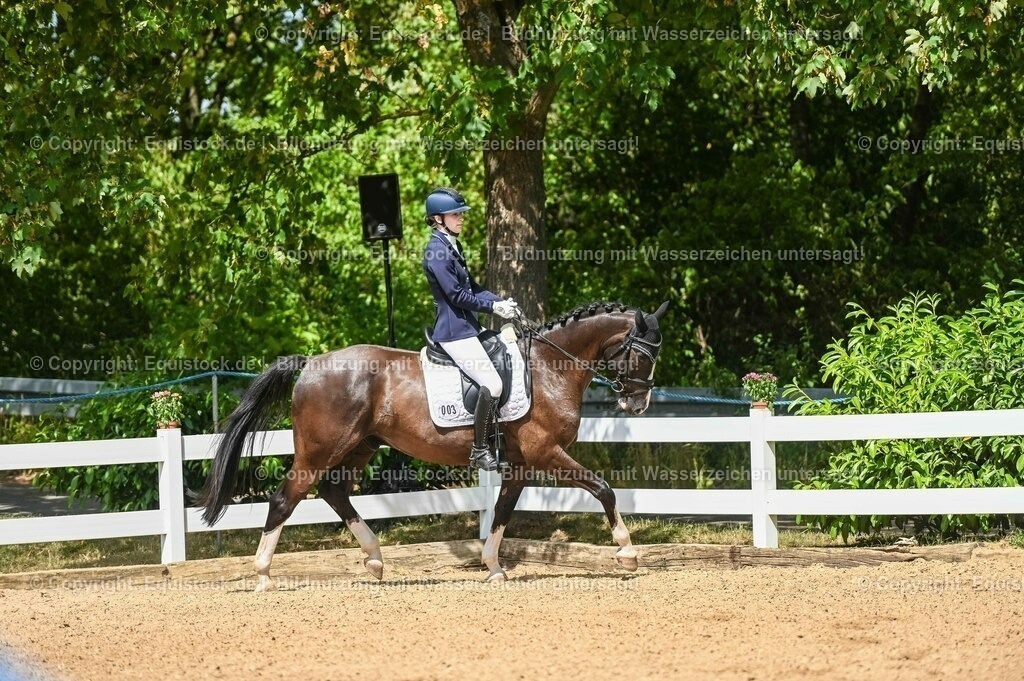 20230715_02_Dressurreiterprüfung Kl.L_0270 | equistock