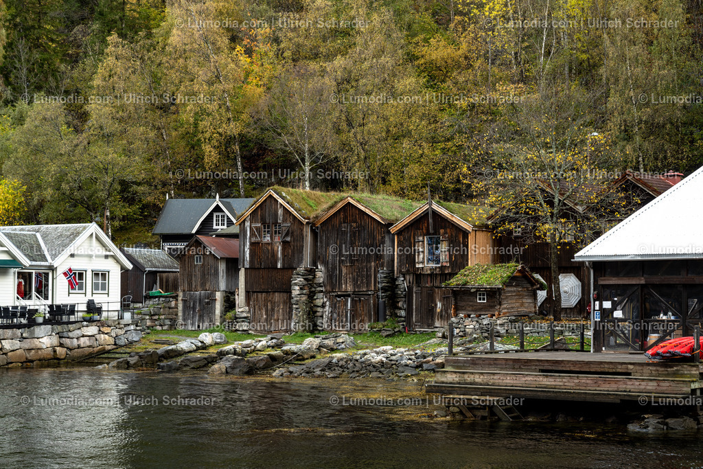 10047-10037 - Am Geirangerfjord - Norwegen | Stockfoto und Bilderpool mit Bildmaterial aus Deutschland, dem Harz, Halberstadt, Quedlinburg, Wernigerode und weltweit. Qualitativ hochwertige und professionelle Fotos anschauen und kaufen. - Realisiert mit Pictrs.com