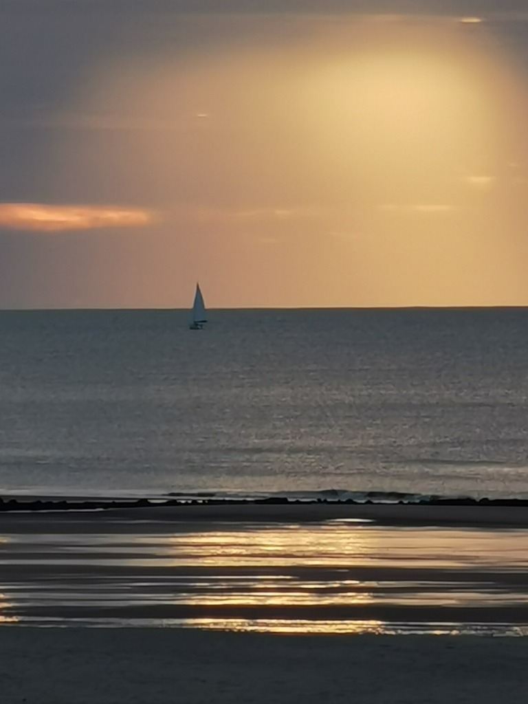 IMG_20240929_190356 | Pandiboo - Realisiert mit Pictrs.com