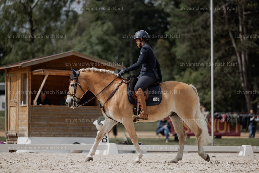 WE_DR_Stoib_308_PI2025_248 | Pferd International München 2025