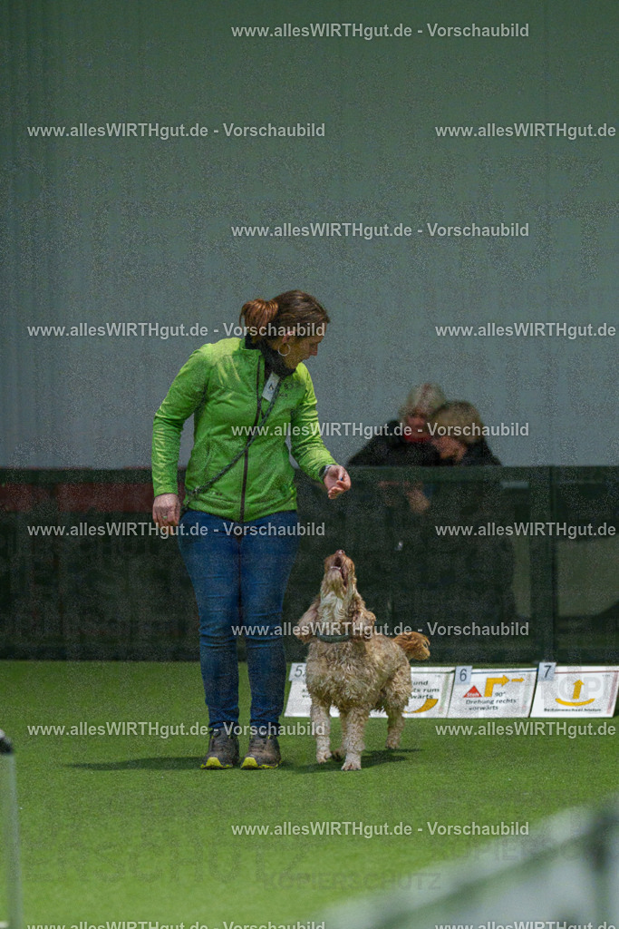 7R504500 | Professionelle Tierfotografie in Mönchengladbach von Daniel Wirth (allesWIRTHgut). Liebevolle & natürliche Bilder von Hunden & Katzen für unvergessliche Erinnerungen.