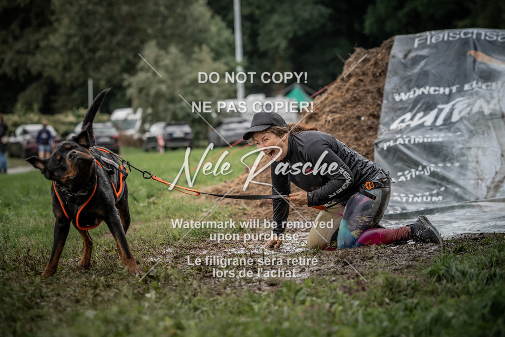 nelerasche_Wingst_Sa1300-1330_407 | nelerasche