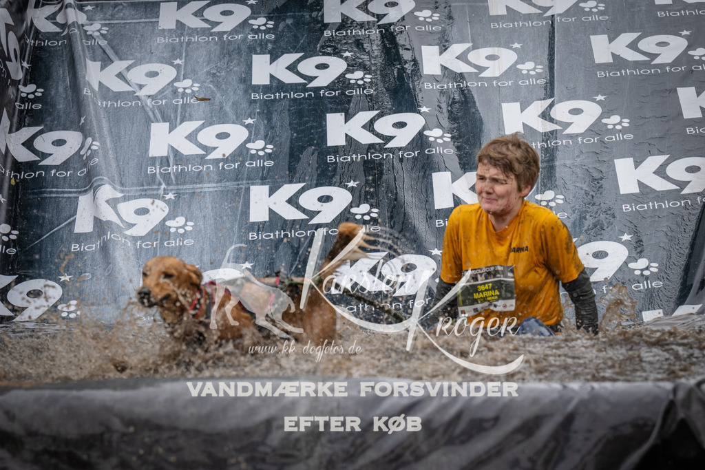 1253_ZZ90775 | kk-dogfotos