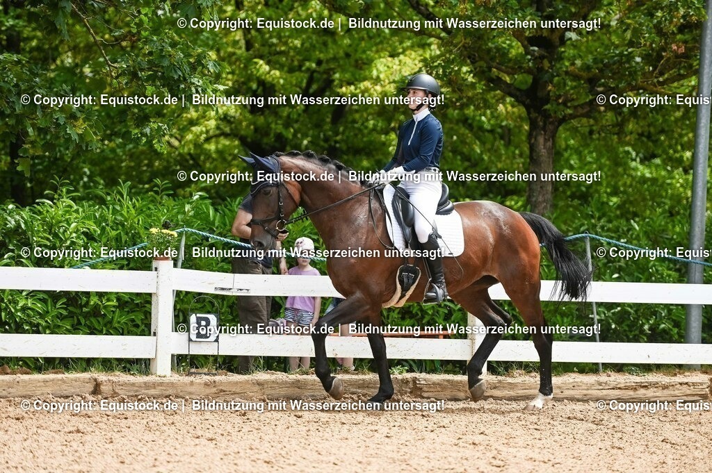 20230716_03_Dressurprfg. Kl.L - Tr._0249 | equistock